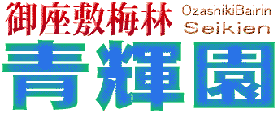 新聞・テレビでおなじみの青輝園ホームページ